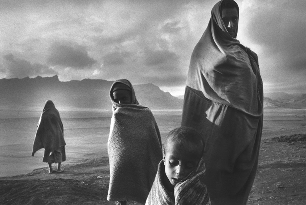 «نمک زمین»؛ سفر به سوی بهشت 1 The Salt of Earth 3