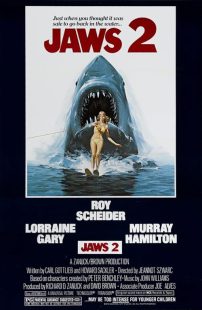 فیلم Jaws 2 1978 1 MV5BMzAxN2Q5Y2UtMDBkZS00MGQwLWIyZDEtYTgyNGRlZmZiNjI2XkEyXkFqcGc@. V1 SX500