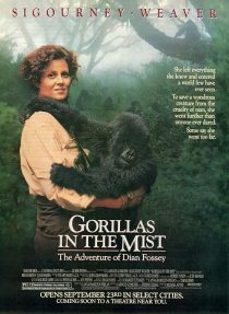 فیلم Gorillas in the Mist 1988 1 MV5BMzhlNTY5ZGYtNWFkMy00MjM5LWJmNmYtNTlhODVjMzY4NGRiXkEyXkFqcGc@. V1 SX500