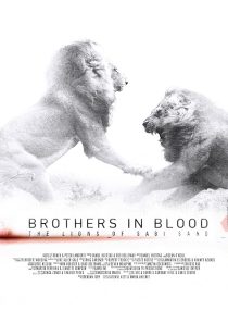 مستند Brothers in Blood: The Lions of Sabi Sand 2015 1 MV5BY2Y3ZGIwYzMtNjgzYy00NTE5LThlYTctOTRiNDVkNWY0YTVmXkEyXkFqcGc@. V1 SX500
