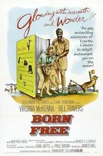 فیلم Born Free 1966 1 MV5BMDU3ODkxY2QtZmQzZS00NzE0LTg2OGEtZjNmMDMxODM0MGUxXkEyXkFqcGc@. SY600 SX400